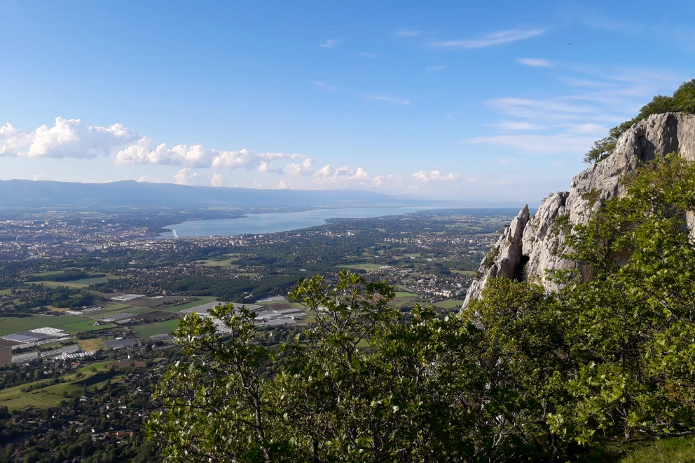 Vue du petit bureau d'Espace Evasion avec son immense jardin verdoyant en arrière-plan