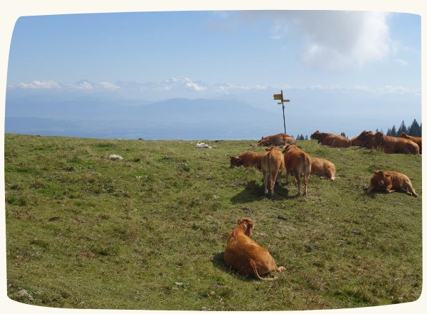 Espace Evasion en 2021