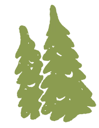 Illustration de forêt