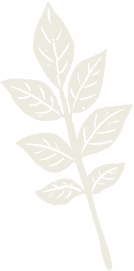 Illustration feulle randonnée