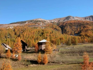 Couleurs d'automne en Queyras