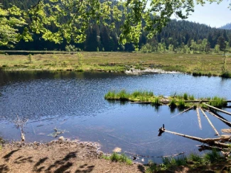 Rando & Bien Etre dans les Hautes Vosges