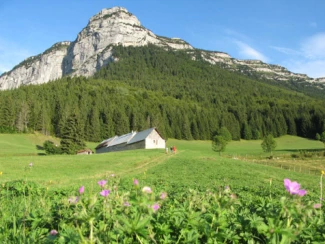 Rando & balnéo Chartreuse