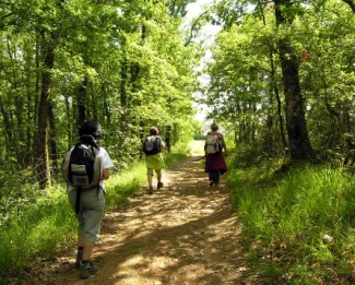 Compostelle à pied et en bus : Le Puy - St Jean Pied de Port