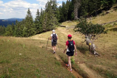 Traversée du Jura en Liberté