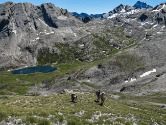 Les balcons du Queyras 4 jours