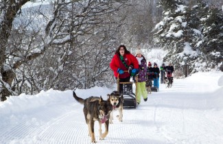 Cocktail Neige dans le Vercors - France