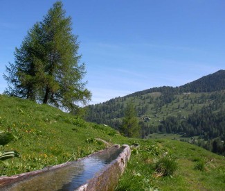 Les Bisses du Valais - Suisse