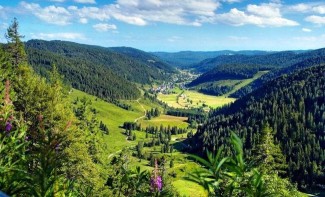 Traversée de la Forêt Noire en liberté - Allemagne