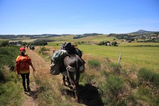 Ardèche en liberté avec un âne - France