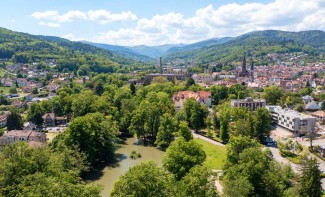Tour des Hautes Vosges en liberté - France