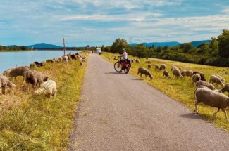 Le Rhône à vélo : Lyon - Montélimar - France