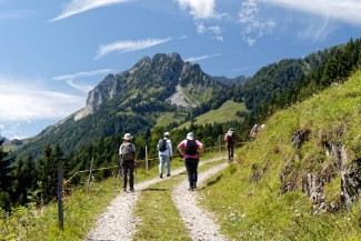 Rando & Bien Etre Walchsee - Autriche