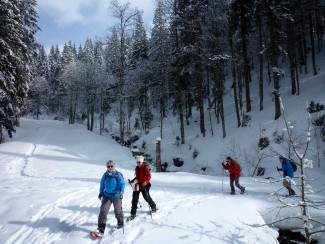Traversée de la Haute Forêt Noire - Allemagne