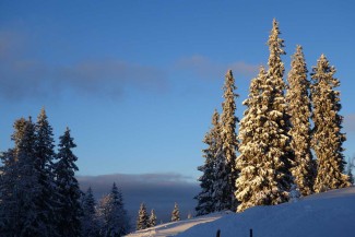 WE Réveillon dans le Haut Jura - France