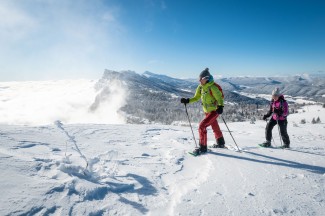Raquettes hivernales en liberté et détente Vercors - France