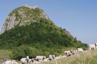 Pays Cathare en Liberté - France