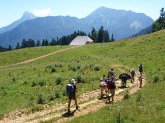 Tour de Chartreuse avec un âne - France