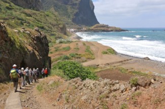 MADERE EN LIBERTE - Madere