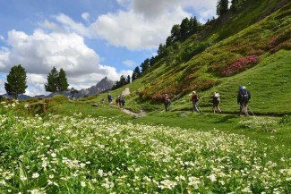 Randonnée et ressourcement en Clarée - France