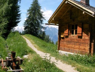 Les Bisses du Valais en Liberté - Suisse