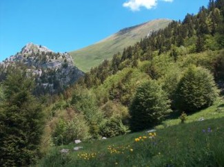 Tour des Bauges en liberté - France