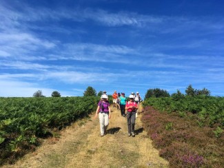 Retrouvance® : Millevaches - France