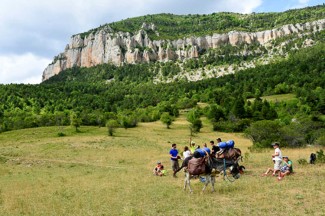 Nomades en Diois avec un âne - France