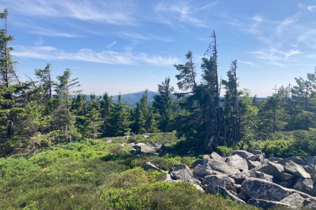 La vie en Vosges : les randos qu’il vous faut  !