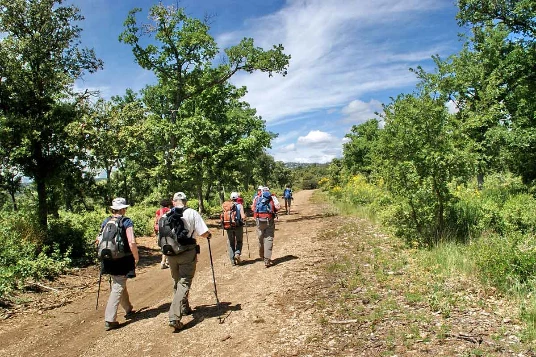 Lubéron en liberté - Photo 2