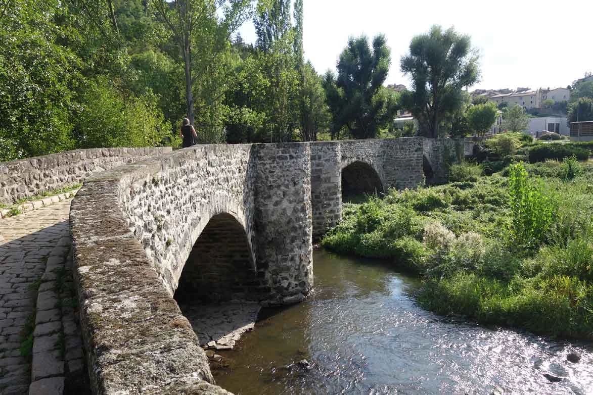 Chemins de Compostelle : Condrieu - Le Puy en Velay - Photo 2