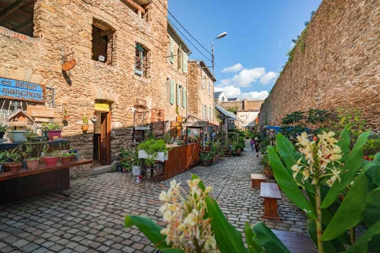 Crozon Ouessant en liberté - Photo 7