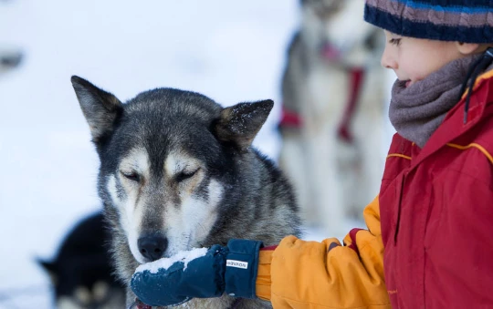 Cocktail Neige dans le Vercors - Photo 2