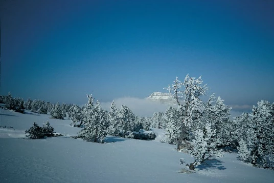 Vercors en itinérance en liberté - Photo 8