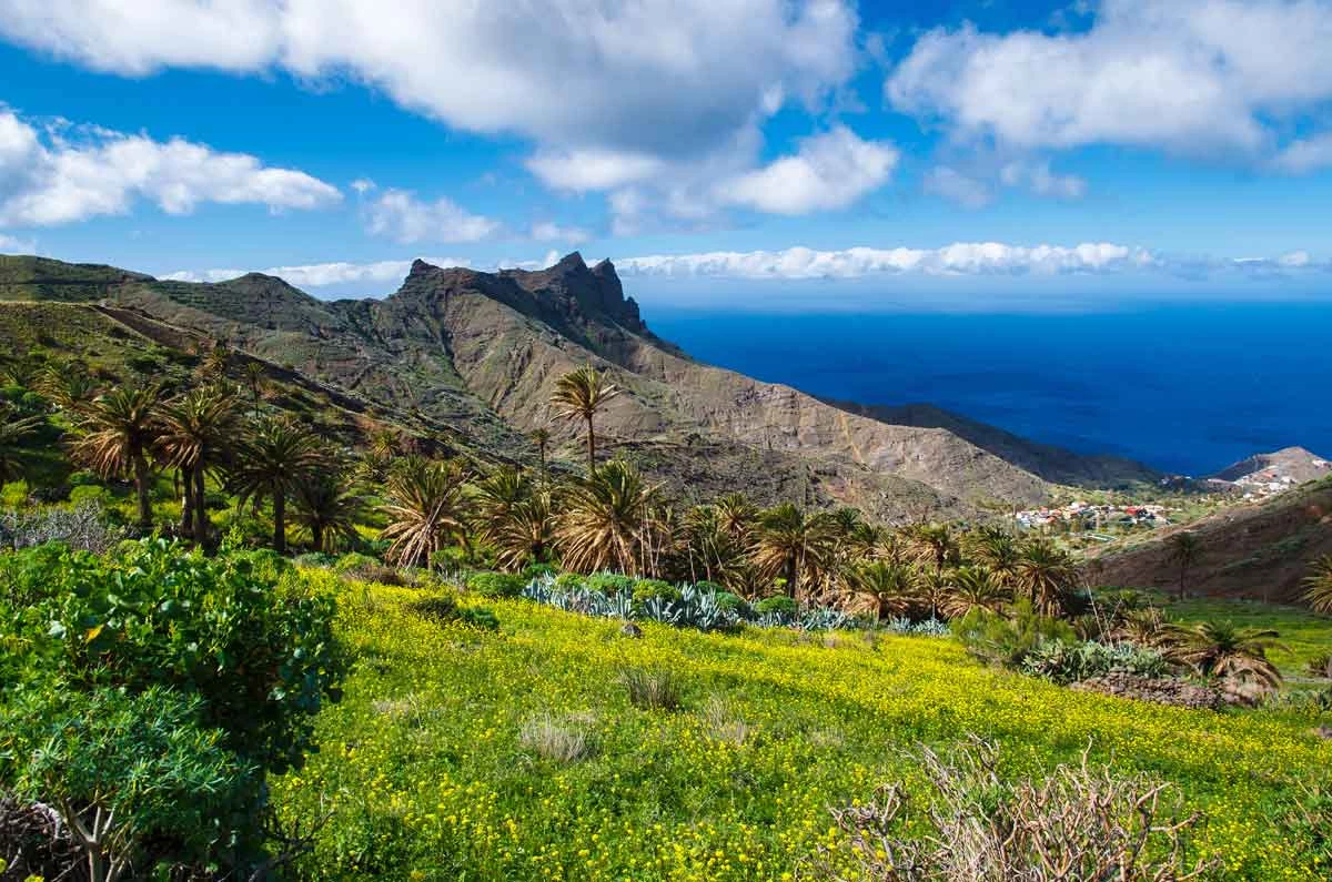 Tour de la Gomera en Liberté - Photo 2