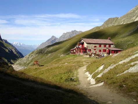 Traversée du Grand Paradis - Photo 10