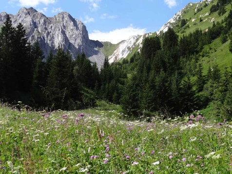 Traversée du Grand Paradis - Photo 5