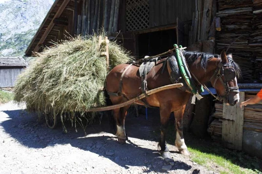 Traversée des Alpages des Aravis - Photo 3