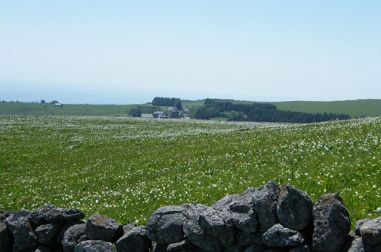 Tour de l'Aubrac en liberté - Photo 8