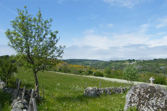 Tour de l'Aubrac en liberté - Photo 2