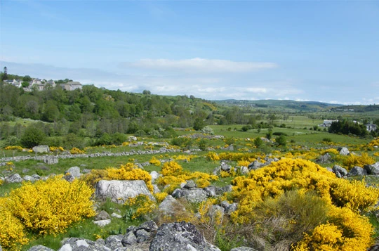 Tour de l'Aubrac en liberté - Photo 4