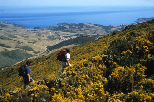 Rando & Thalasso Banyuls en liberté - Photo 4
