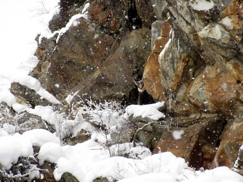 Val d'Aoste & Val de Cogne - Photo 4