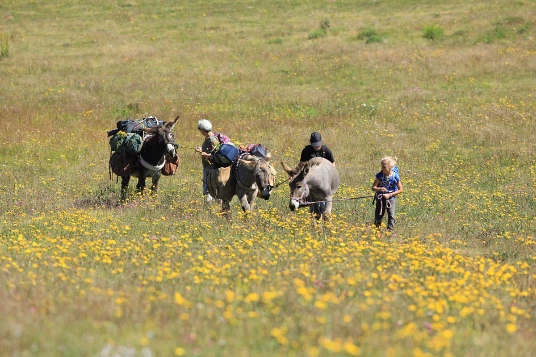 Ardèche en liberté avec un âne - Photo 5