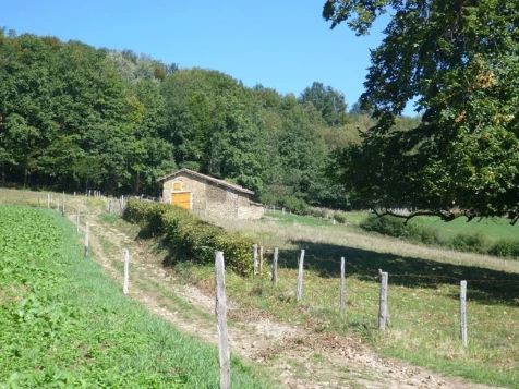 Chemins de Compostelle : Lyon - Montbrison - Photo 5