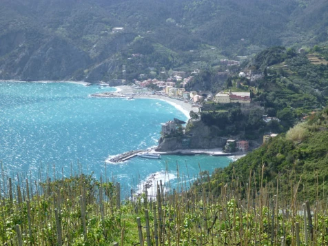 Cinque Terre en liberté en Hôtel ** - Photo 13