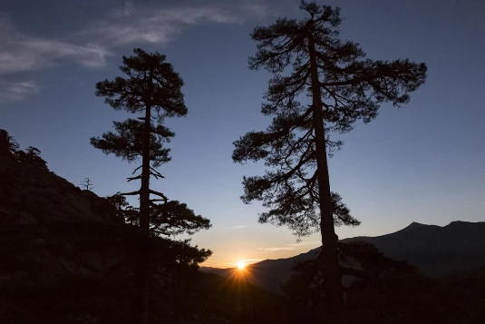 GR20 Complet en liberté - Photo 6