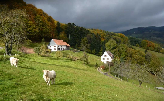 Traversée des Hautes Vosges en liberté - Photo 1