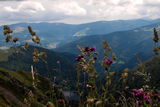 Traversée des Hautes Vosges en liberté - Photo 9
