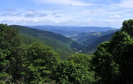 Tour des Hautes Vosges en liberté - Photo 1
